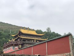 -塔尔寺游客服务中心