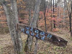 -龙道沟景区