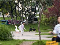 -安徽大学(磬苑校区)