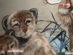 -湖南湘绣博物馆