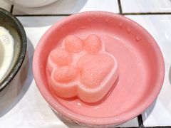 猫爪布丁-卤校长重庆火锅