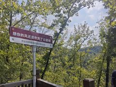 -云碧峰国家森林公园