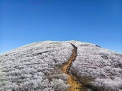 -安吉龙王山风景区