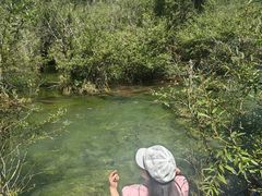 -九寨沟-树正沟