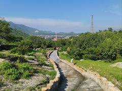 -白水寺森林公园