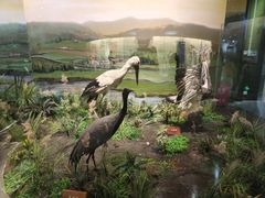 -陕西自然博物馆