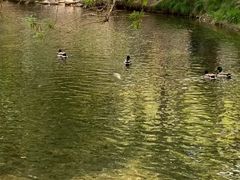 -水磨沟公园