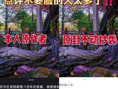 -郑和公园