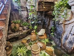-勝記酒家·37年老字号·经典粤菜(荔枝公园店)