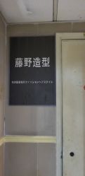 点击看大图 -藤野造型