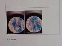 -艾贝尔宠物医院·24H转诊中心·肿瘤猫专科(江宁双龙店)