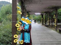 -白马涧龙池景区