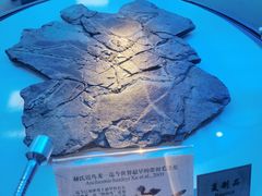 -辽宁古生物博物馆