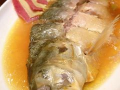 -新吉士·上海菜(浦东LCM置汇旭辉店)