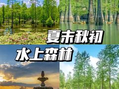 -池杉湖湿地公园