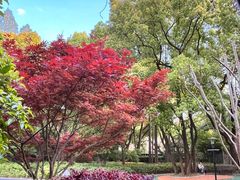 -徐家汇源景区-衡山公园