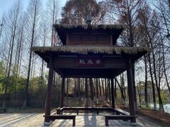 -苏州太湖国家湿地公园