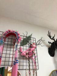 -有家宝贝儿童摄影(荟聚店)