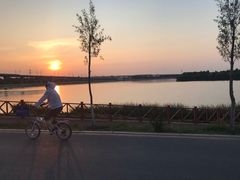 -丁香湖公园