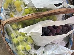 -马陆小张葡萄园农家乐