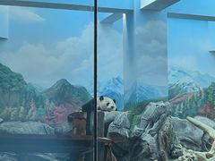 -武汉动物园