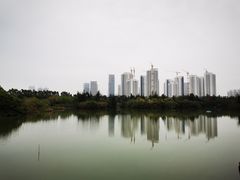 -五缘湾湿地公园
