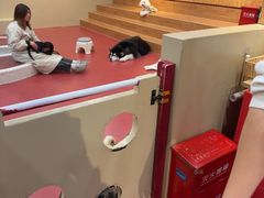 -和它·交个朋友·狗咖猫咖(爱琴海店)