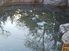 -和园景逸大酒店朗月汤泉
