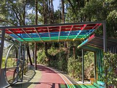 -广州市流溪河国家森林公园