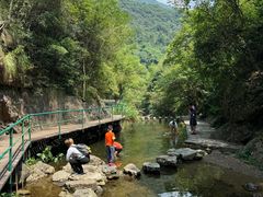 -宁波五龙潭景区