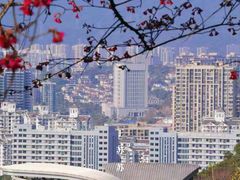 -金鸡山公园
