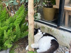 -自由生长植物工作室(深港花卉中心店)