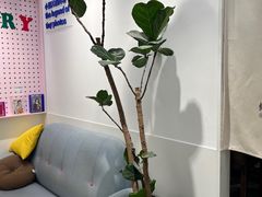 -天真蓝照相馆(杭州滨江宝龙店)