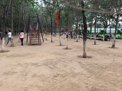 -草根堂农场