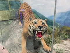 -国家自然博物馆