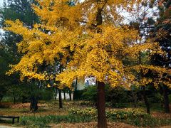 -国家植物园南园