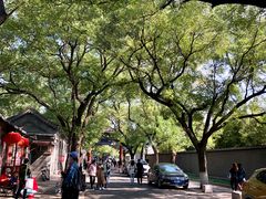 -北京国子监胡同
