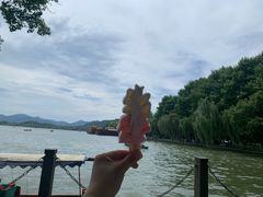 -西湖游船