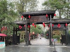 -合肥滨湖国家森林公园