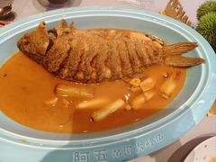 -阿五黄河大鲤鱼(英协路店)