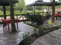 -洪湖家庭农场·团建·露营·会议