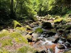 -碧峰峡风景区
