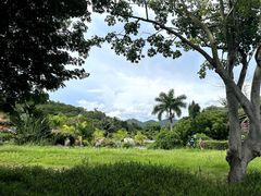 -三亚南山文化旅游区