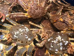 -海景壹号大酒店(滨湖店)