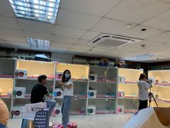 -lincat·猫舍(广州店)