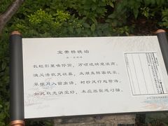 -澹台湖公园