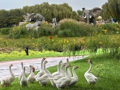 -北京野生动物园