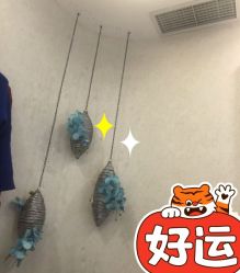 -健身堂科技美肌SPA
