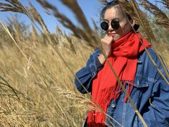 -亿利库布其七星湖沙漠生态旅游区