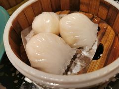 -金香匯晚茶(浑南店)